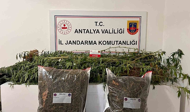 Alanya’da narkotik operasyonları