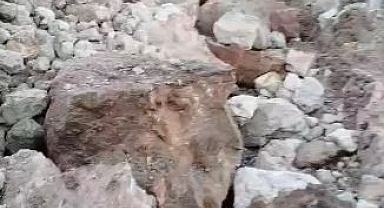 Artvin’de heyelan: Ardanuç’ta 6 köye bağlanan yol ulaşıma kapandı