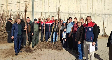 Aydın’da üreticilere kestane fidanı dağıtılıyor
