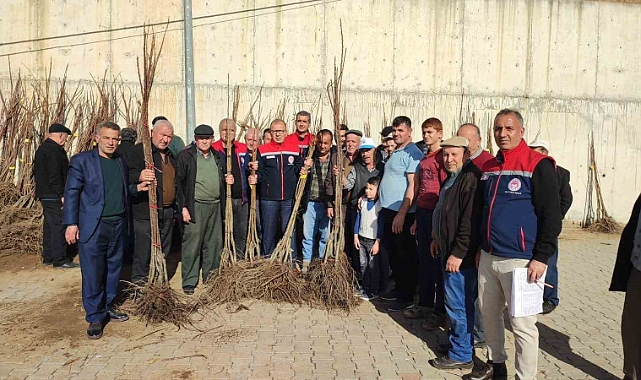 Aydın’da üreticilere kestane fidanı dağıtılıyor
