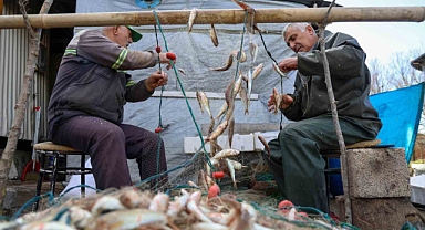 Balık tezgahları yüz güldürüyor: Tezgahlarda barbun ve istavrit bolluğu