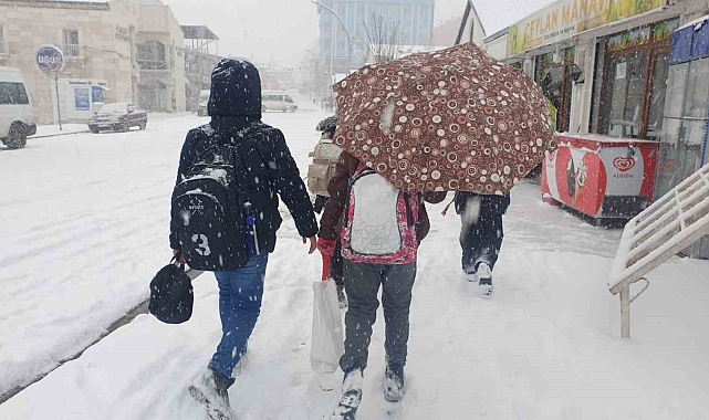 Başkale'de kar aniden bastırdı, sürücüler zor anlar yaşadı