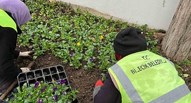 Bilecik Belediyesi’nden peyzaj düzenlemeleri