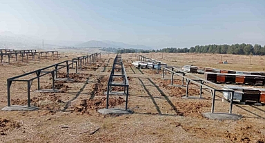 Bingöl’deki Bal Ormanları’na kovan sehpası kuruldu