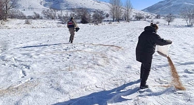 Bitlis’te yaban hayvanları için doğaya yem bırakıldı
