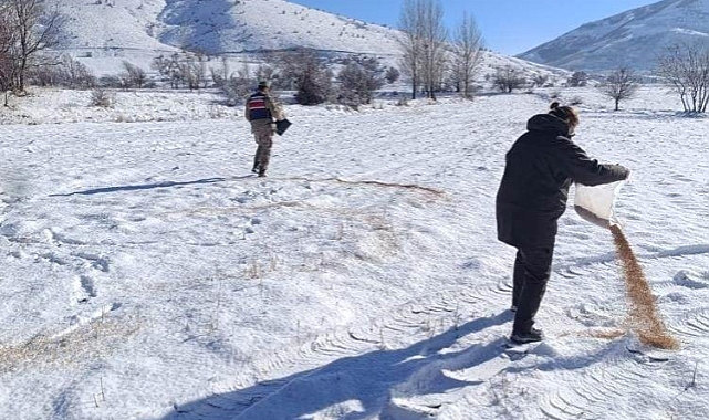 Bitlis’te yaban hayvanları için doğaya yem bırakıldı