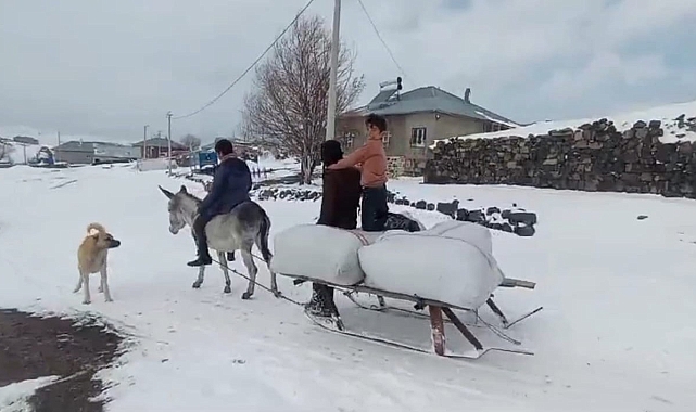 Bitlis'te hayvan yetiştiricilerinin 2 bin 150 rakımda zorlu kış mesaisi