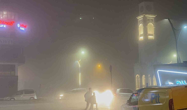 Bitlis'te yoğun sis etkili oldu