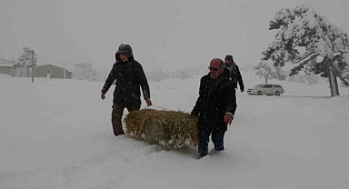Burdur yaylalarında kar kalınlığı 50 santime ulaştı, yaban hayvanlar için seferberlik başladı
