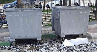 Çevre düşmanı bozuk balıkları yola döktü