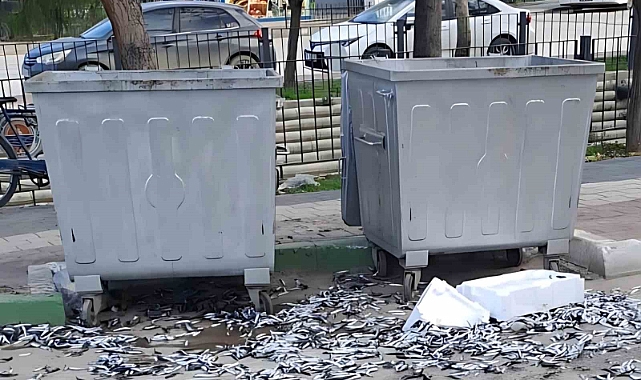 Çevre düşmanı bozuk balıkları yola döktü