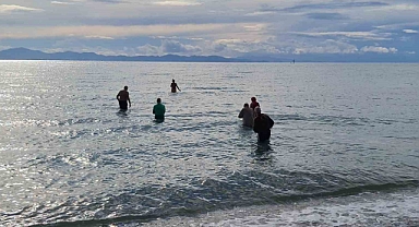 Didim’de yaşayan yabancılar sokak hayvanlarına yardım için denize girdiler