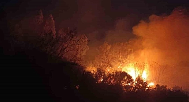 Dörtyol’da sazlık alanda yangın çıktı