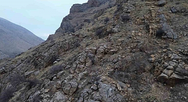 Elazığ’da dağ keçileri dronla görüntülendi