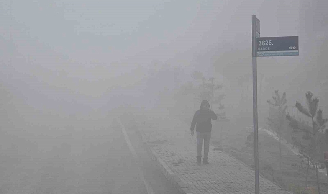 Elazığ’da yoğun sis etkili oldu, bir mahalle adeta kayboldu