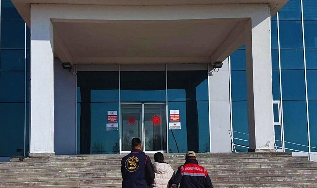 Erciş'te jandarma 11 düzensiz göçmen ile 2 organizatör yakaladı