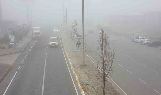 Erzincan güne sisle uyandı