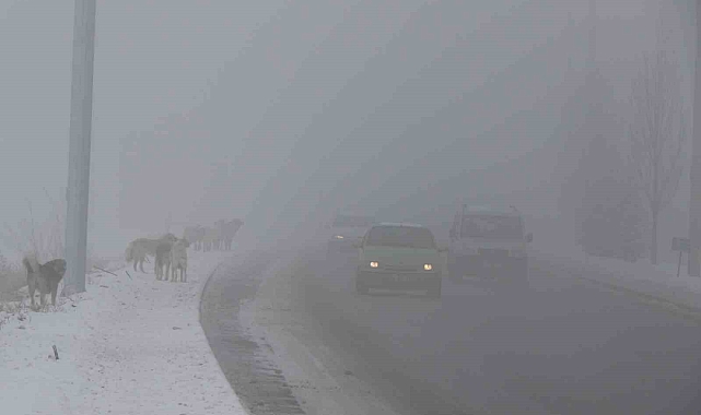 Erzincan güne sisle uyandı