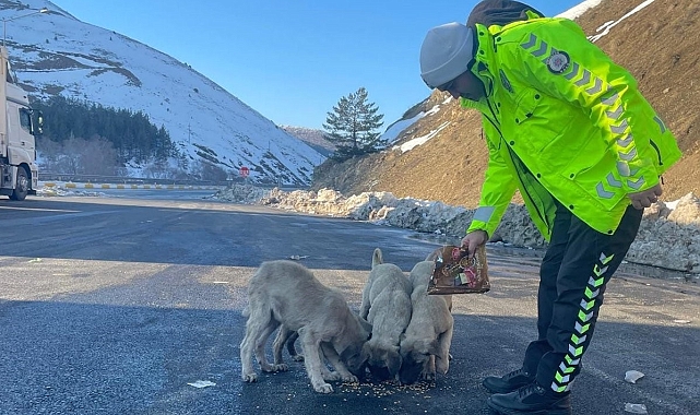 Erzincan Refahiye'de polis ekipleri sokak hayvanlarını unutmadı