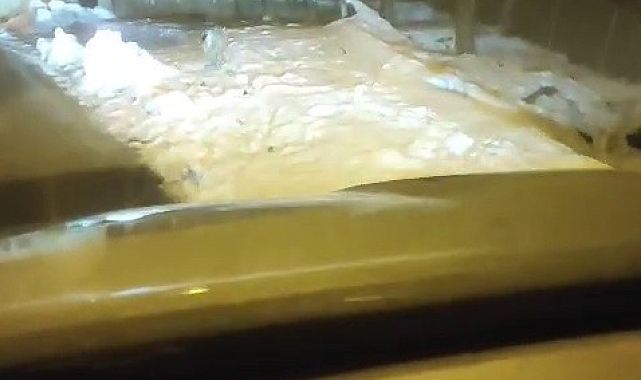 Erzurum İspirde yiyecek arayan vaşak görüntülendi