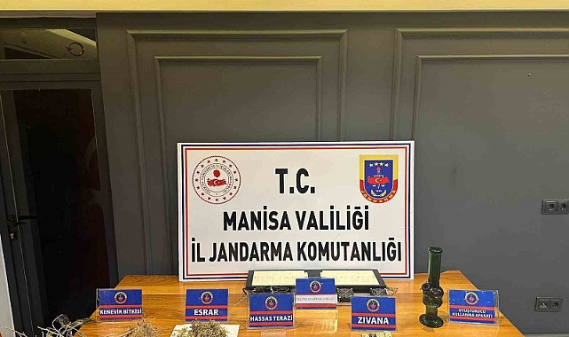 Evinde iklimlendirme sistemiyle kenevir yetiştirmiş