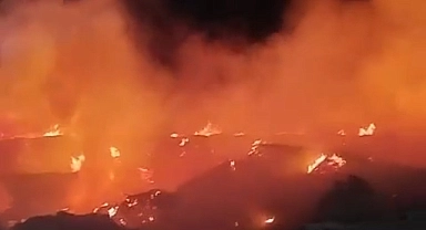 Fabrika bahçesinde çıkan yangın söndürüldü