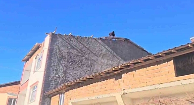 Fırtına Adıyaman’da çatıları uçurdu, ağaçları söktü