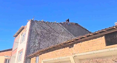 Fırtına Adıyaman’da çatıları uçurdu, ağaçları söktü