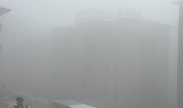 Hakkari'de yoğun sis etkili oluyor