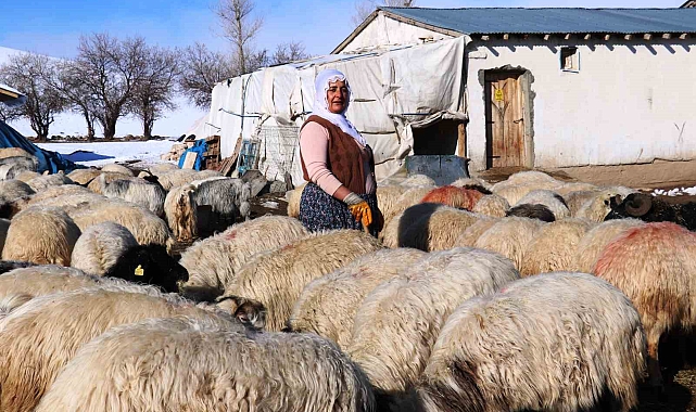 Hayvancılığa kadın eli değdi