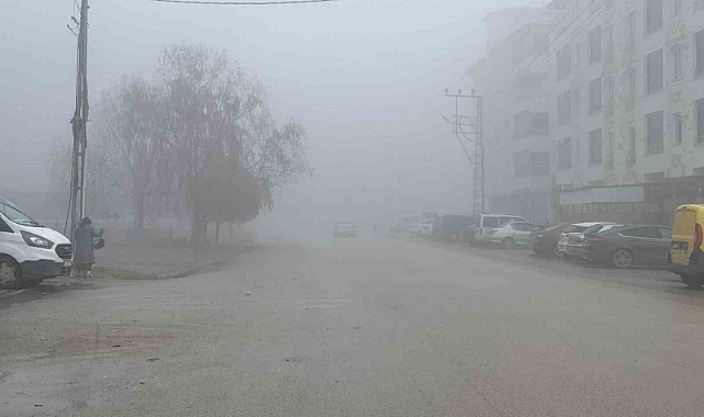 Iğdır’da yoğun sis etkili oldu