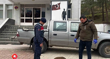 Jandarma, yaralı karacaya sahip çıktı