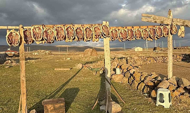 Kars'ta kazlar tellerde kurutuluyor