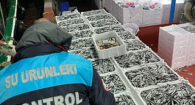 Kırklareli’nde balıkçılara kota denetlemesi