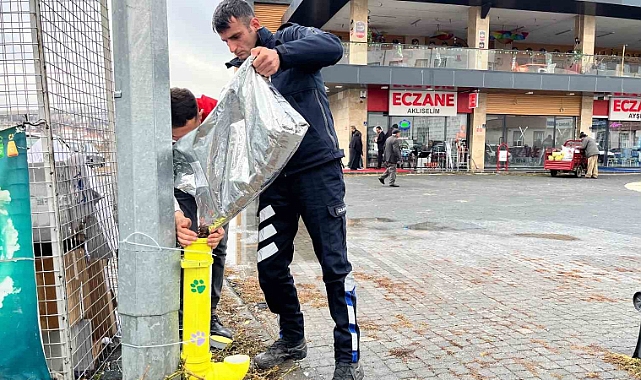 Kış günlerinde Bünyan’da sokak hayvanlarına umut eli