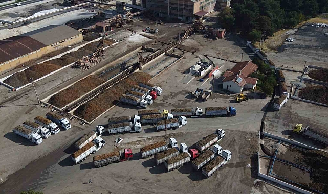 Malatya Şeker Fabrikası'nda 470 bin ton pancar işlendi