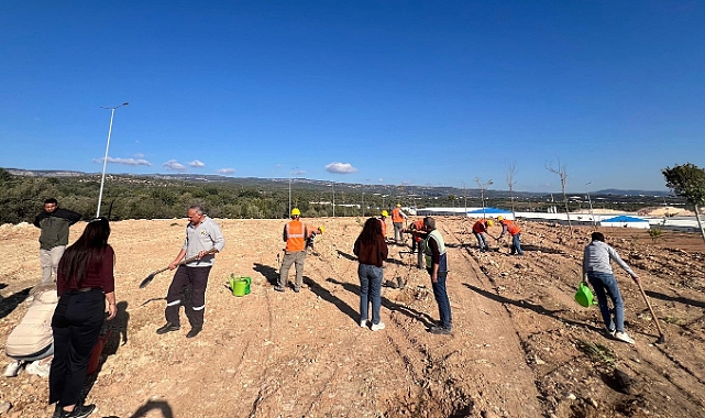 Mersin’de otoban yol kenarları ağaçlandırılıyor