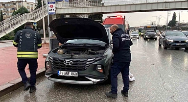 Motora saklanan kedi 13 kilometre yol gitti