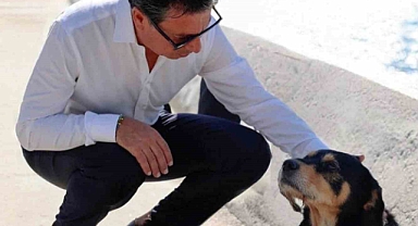 Muğla’da 3 bin 480 can dostu sahiplendirildi