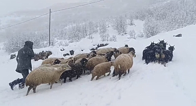 Muş’ta kar yağışı çiftçilerin hayatını olumsuz etkiledi