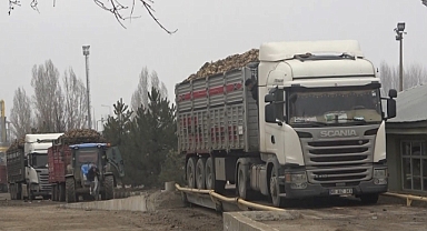 Muş’ta şeker pancarı kampanyasında rekor