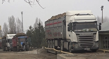 Muş’ta şeker pancarı kampanyasında rekor
