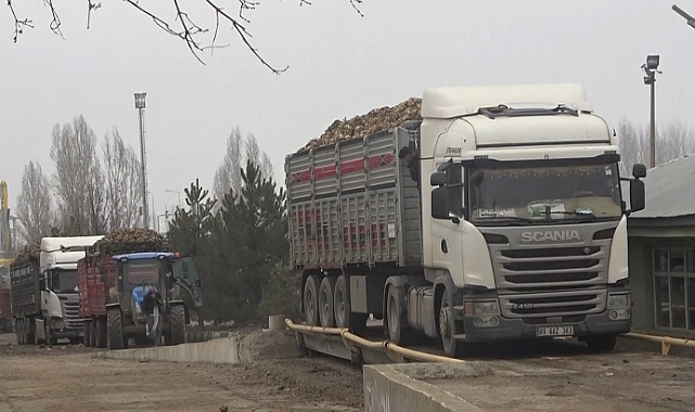Muş’ta şeker pancarı kampanyasında rekor