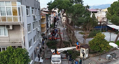 Nazilli’de tehlike oluşturan çam ağacı kaldırıldı