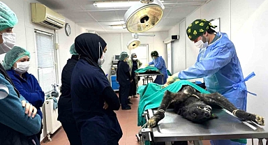 Osmangazi’de can dostlar emin ellerde