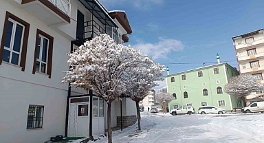Özalp ilçesinde kar yağışı