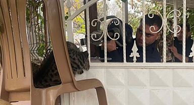 Patisi korkuluğa sıkışan kediyi itfaiye kurtardı