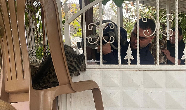 Patisi korkuluğa sıkışan kediyi itfaiye kurtardı