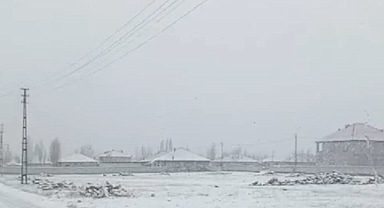 Patnos'ta Kış Karyağışı Sonrası Kuru Soğukların Etkisi