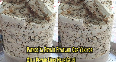 Patnos'ta Peynir Fiyatları Cep Yakıyor: Otlu Peynir Lüks Hale Geldi